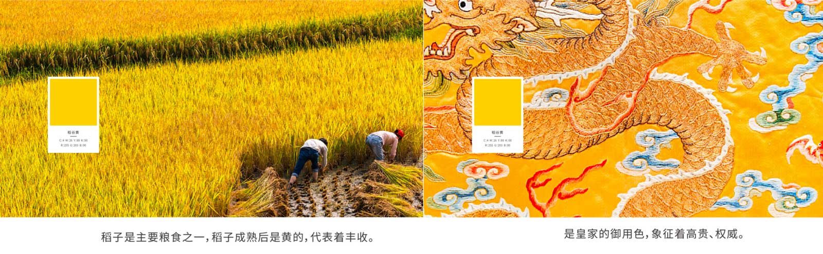 WX20251121-141524@2x.jpg WX20251121-141524@2x.jpg