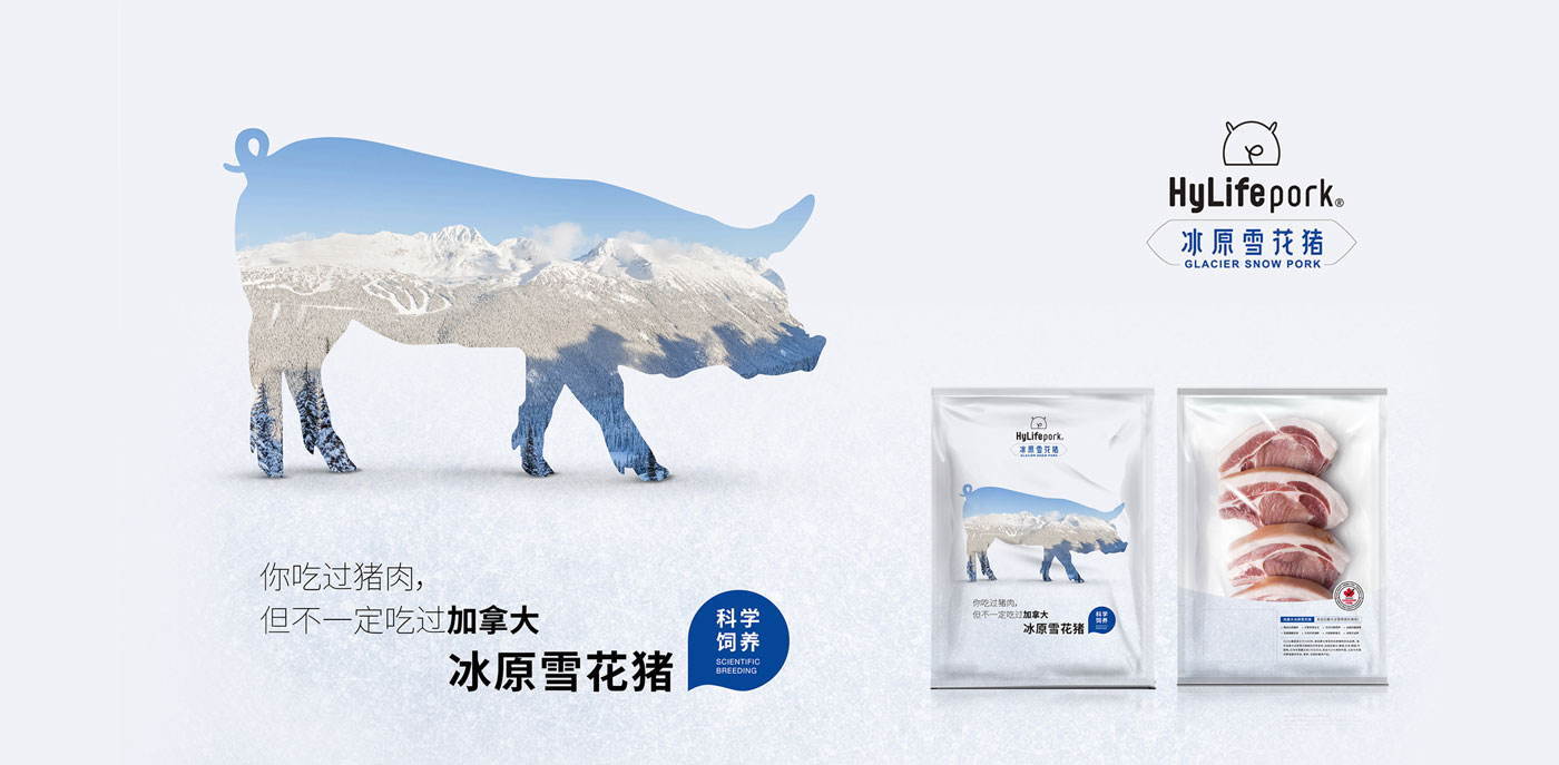 Hylife冰原雪花猪-主视觉.jpg Hylife冰原雪花猪-主视觉.jpg