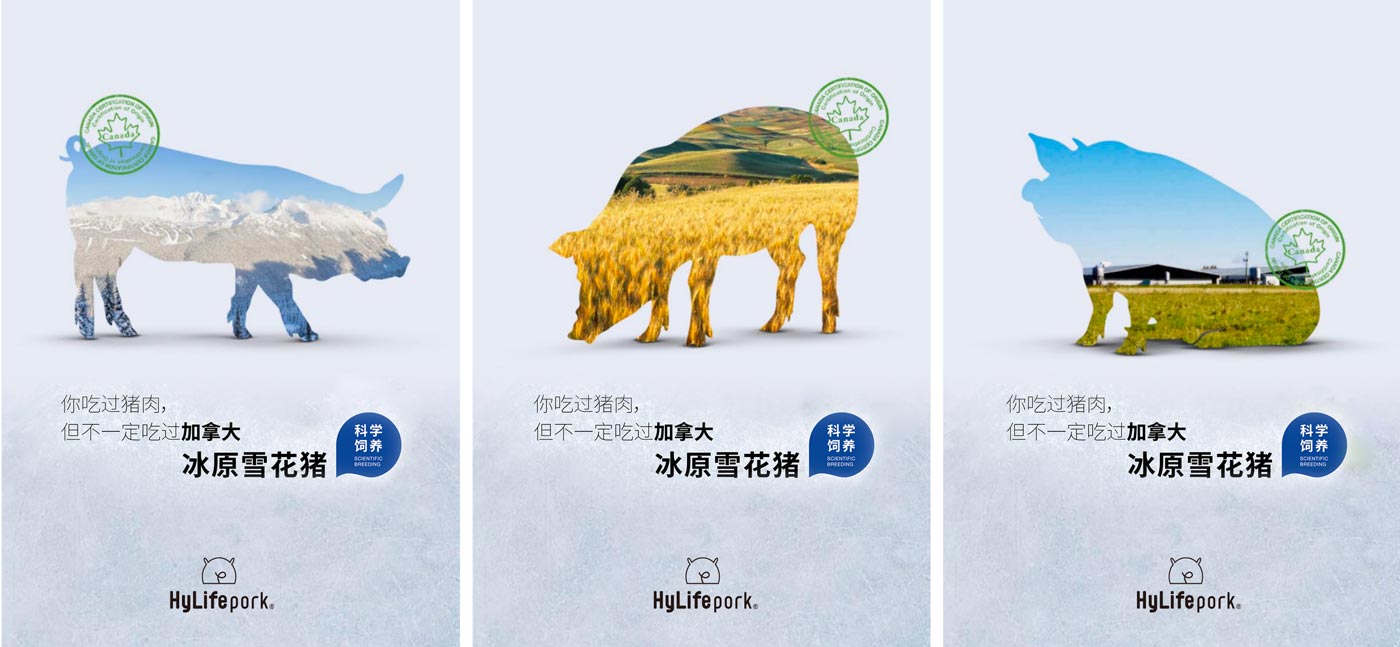 WX20251209-174502@2x.jpg WX20251209-174502@2x.jpg