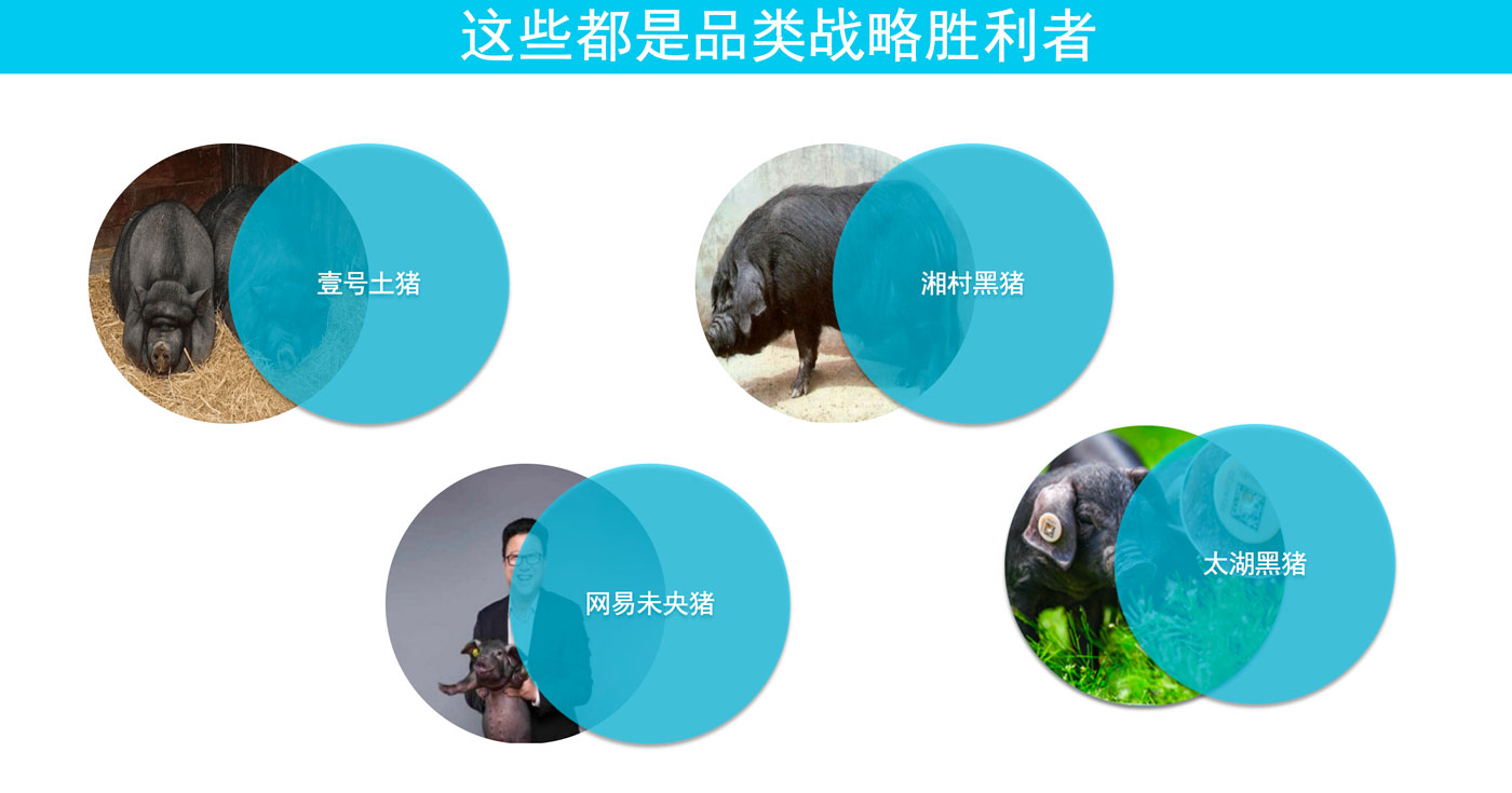 WX20251209-170754@2x.jpg WX20251209-170754@2x.jpg